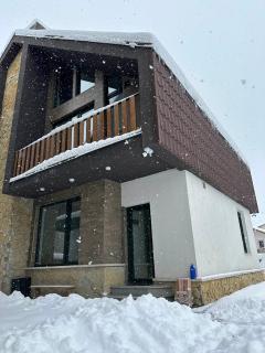 Bakuriani Cottages - 2