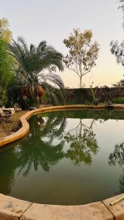 Almaza Camp - Siwa - 7