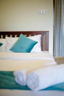 Disha plantation Resort - Anachal - 4