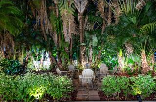 Palm Beach Villa - Magnificent Mansion - Ocean Ridge - 4