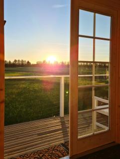 Idyllic Alpaca Cabin Overlooking The Alpaca Fold - 2