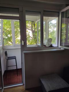 Quiet city center oasis - In the shade of walnut - Belgrado - 2