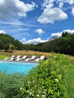 Le Clos du Cerf - Le Sous-bois - Stoumont - 6