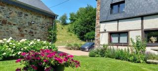 Le Clos du Cerf - Le Sous-bois - Stoumont - 7