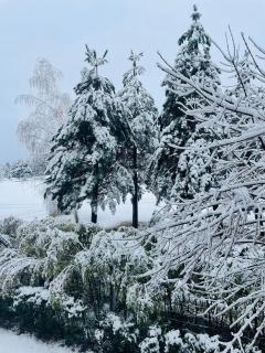 Ground floor 2-bedrooms, 2-bathrooms apartment near Bansko in a complex with pools and SPA included - 7