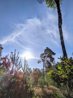 Bos-Chaletje - Diessen - 4