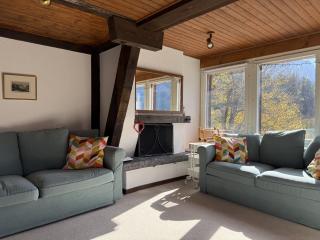 Chalet Schweizerhof 4 - Wengen - 7