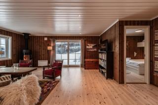 Sunny and beautiful cabin in Geilo - Geilo - 7