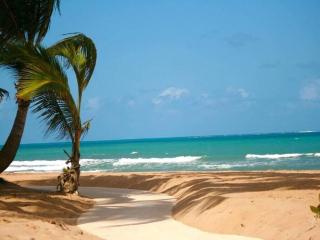 Stunning Oceanfront Villa - 8190 - 7