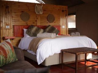 Ngata Safari Lodge - Hammanskraal - 6