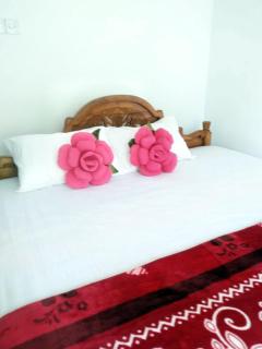 Silver Tips Villa - Ella - 9