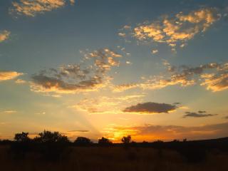 Boonsteplaas Farmstay - 3