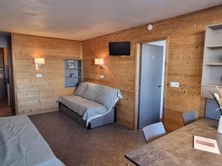 Appartement fonctionnel au pied des pistes - 5 pers, animaux admis - FR-1-181-2700 - Aime-la-Plagne - 0