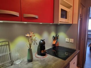 Appartement fonctionnel au pied des pistes - 5 pers, animaux admis - FR-1-181-2700 - Aime-la-Plagne - 5