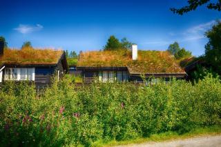 A Cozy, Rustic Retreat with Fireplace and Terrace in Beitostølen - Beitostøl - 0