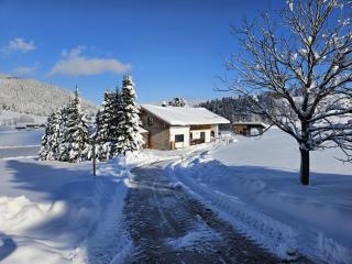 Ferienhaus Froschsee inkl. Chiemgaukarte - Ruhpolding - 9