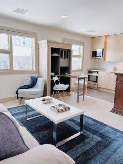 1 bed apartment with parking - Denver Museum District Walk to Convention Center, Capital, museums and shops - 3