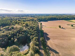 Mabel - Norfolk Cottage Agency - Kelling - 6
