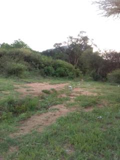 Phalaborwa tourist center & tour operator - 1