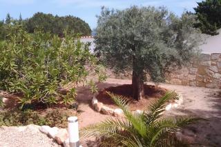 Ses Roques Casa del Sol - - 7
