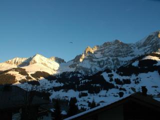 Apartment Bärgchutzli Parterre by Interhome - Adelboden - 7