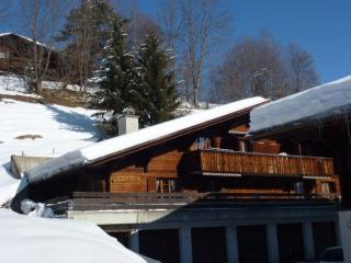 Apartment Chez-Nous by Interhome - Gstaad - 0