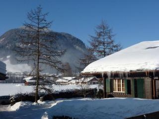 Apartment Chez-Nous by Interhome - Gstaad - 9