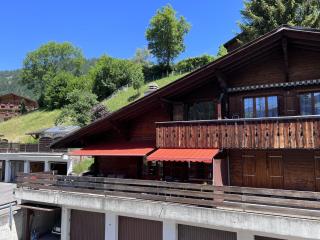 Apartment Chez-Nous by Interhome - Gstaad - 5