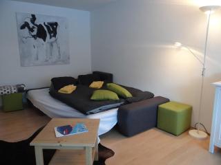 Apartment Neuschwändi 63 by Interhome - Engelberg - 5