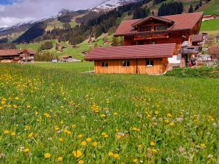 Apartment Lärchehuus by Interhome - Adelboden - 6