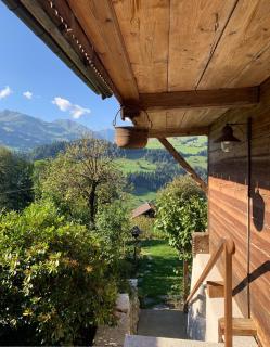 Swiss Mountain-Valley View Lodge - 9