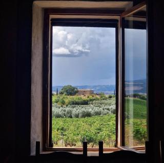 Luce di Vino - Montalcino - 5