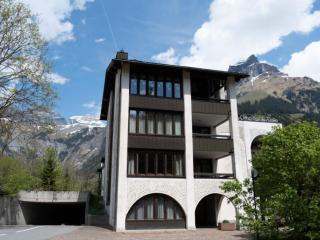Apartment Am Dürrbach 1-113 by Interhome - Engelberg - 0