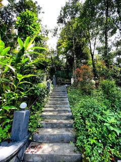JOJOZCottage - Munnar - 4