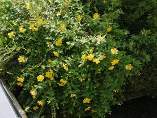 Ô jardin de boutancourt - 6