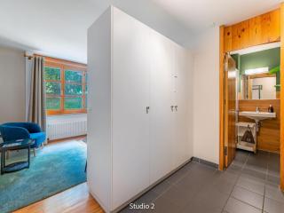 Apartment Steil Alva Studios Smit by Interhome - Lenzerheide - 6