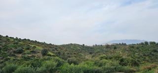 Casa Elma - Modern 2BR Apartment - Pool - Nature - Mijas - 6