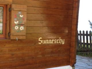 Apartment Sunneschy 1- Stock by Interhome - Riederalp - 8