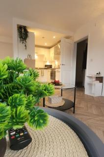 AS Apartment Holiday - Londra - 7