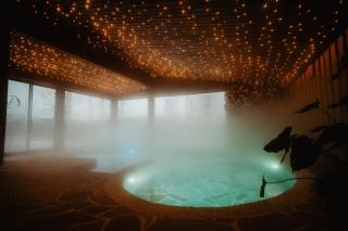 Aito Igloo & Spa Resort - Rovaniemi - 5