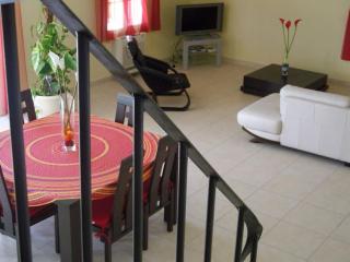 Belle villa provençale piscine terrain - 7