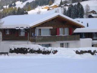 Apartment Aloa by Interhome - Adelboden - 9