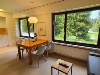 Apartment Belmont Seegarten by Interhome - Lenzerheide - 3
