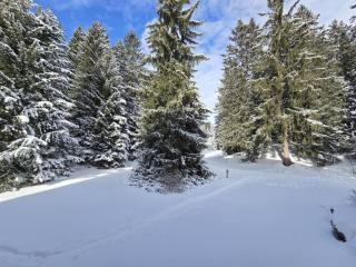 Apartment Belmont Seegarten by Interhome - Lenzerheide - 6