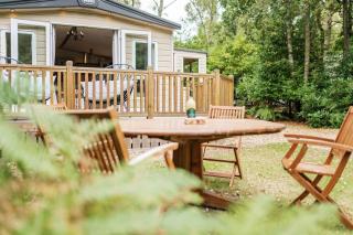 Stonechat - Norfolk Cottage Agency - Weybourne - 7