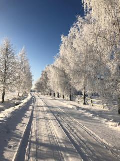 Ezera Pērle - Ķeipene - 5