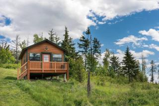 Quiet, relaxing cabin, views galore, pet friendly - Kalispell - 9