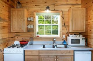 Quiet, relaxing cabin, views galore, pet friendly - 2