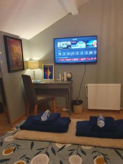 Chambre cosy avec sdb privative - Noisy-le-Grand - 7