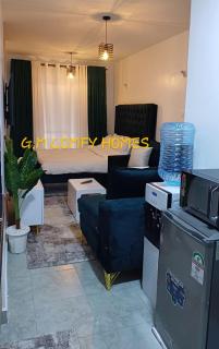 Furnished Studio Apartment Fedha - Embakasi, Nairobi - Nairobi - 4